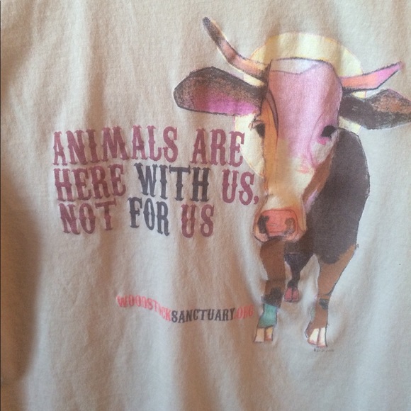 Short sleeve tee - Picture 2 of 7